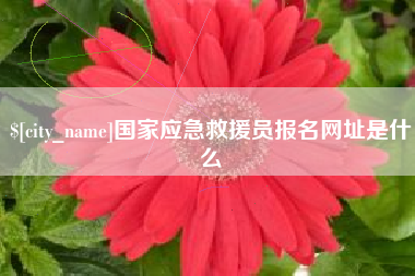安顺国家应急救援员报名网址是什么
