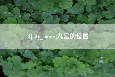 安顺九宫的位置
