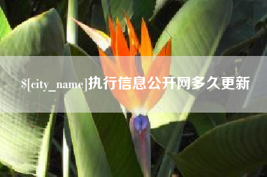 安顺执行信息公开网多久更新