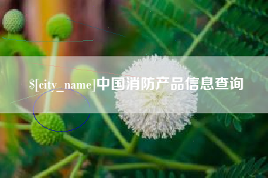 安顺中国消防产品信息查询