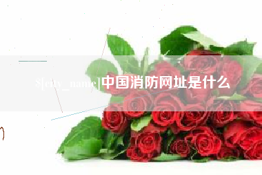 安顺中国消防网址是什么