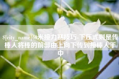 安顺60米接力赛技巧-下压式则是传棒人将棒的前部由上向下传到接棒人手中