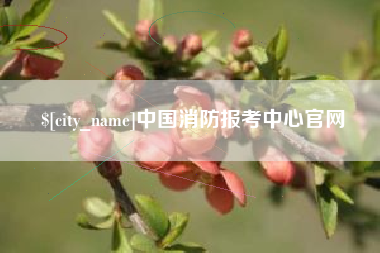 安顺中国消防报考中心官网