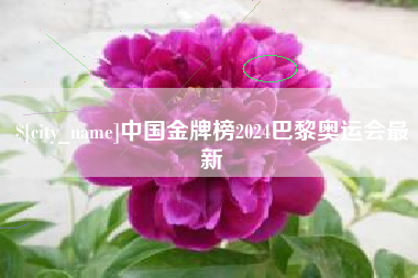 安顺中国金牌榜2024巴黎奥运会最新