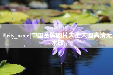 安顺中国金牌图片大全大图高清无水印