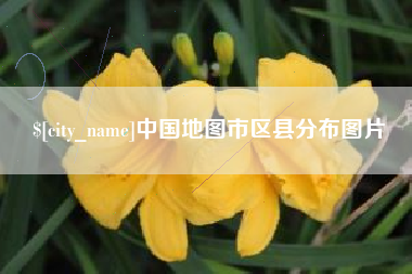 安顺中国地图市区县分布图片