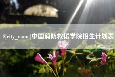 安顺中国消防救援学院招生计划表