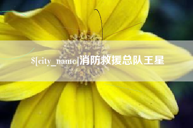 安顺消防救援总队王星