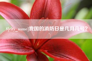 安顺我国的消防日是几月几号？