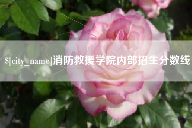 安顺消防救援学院内部招生分数线