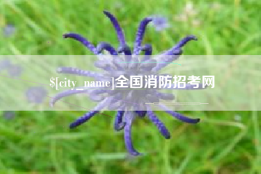 安顺全国消防招考网