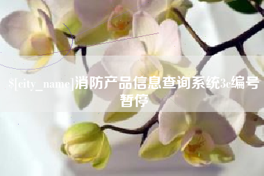 安顺消防产品信息查询系统3c编号暂停