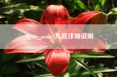 安顺九宫详细说明