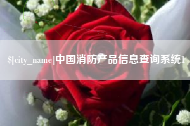 安顺中国消防产品信息查询系统1