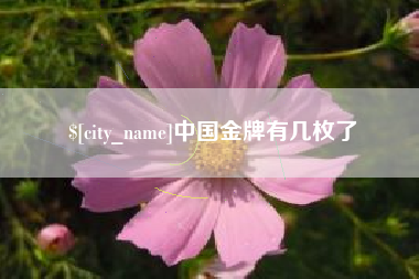 安顺中国金牌有几枚了