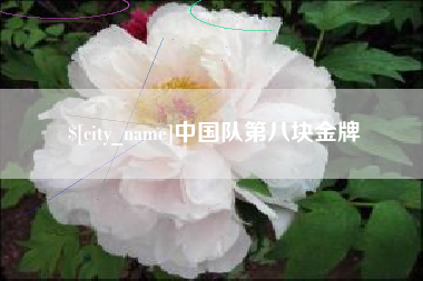 安顺中国队第八块金牌