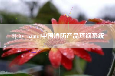 安顺中国消防产品查询系统