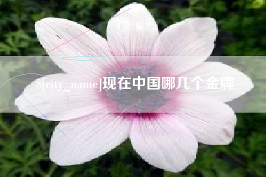 安顺现在中国哪几个金牌