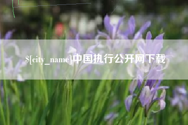 安顺中国执行公开网下载
