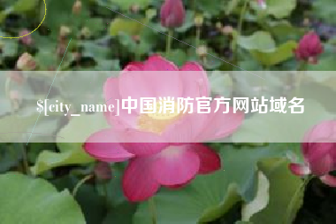 安顺中国消防官方网站域名