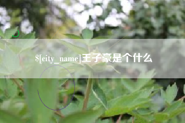 安顺王子豪是个什么