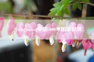 安顺中国5000米国家记录