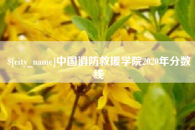 安顺中国消防救援学院2020年分数线