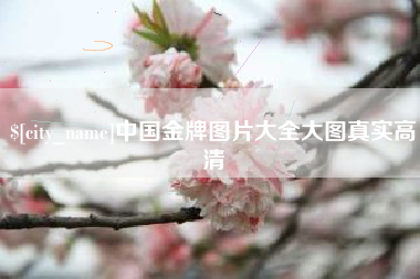 安顺中国金牌图片大全大图真实高清