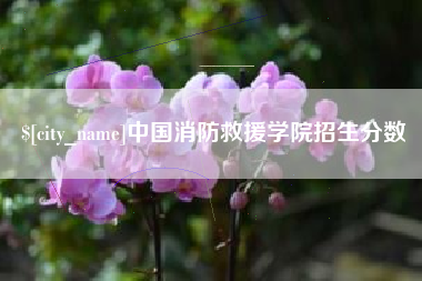 安顺中国消防救援学院招生分数