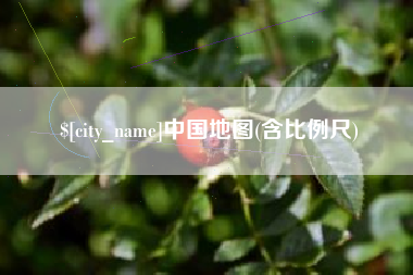 安顺中国地图(含比例尺)