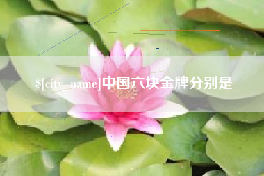 安顺中国六块金牌分别是