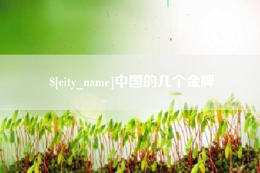 安顺中国的几个金牌