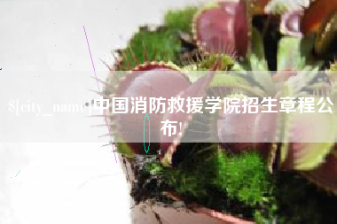 安顺中国消防救援学院招生章程公布!