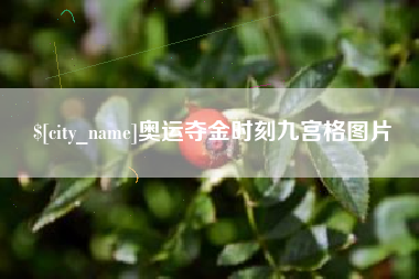 安顺奥运夺金时刻九宫格图片
