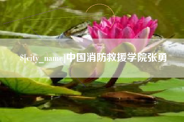 安顺中国消防救援学院张勇