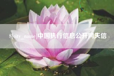安顺中国执行信息公开网失信