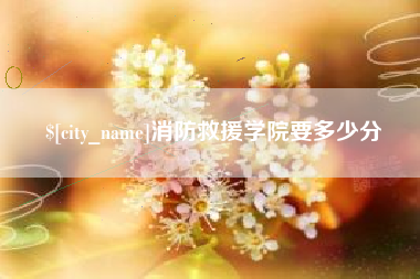 安顺消防救援学院要多少分