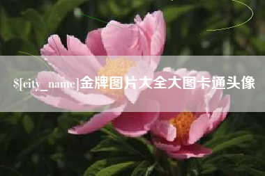 安顺金牌图片大全大图卡通头像