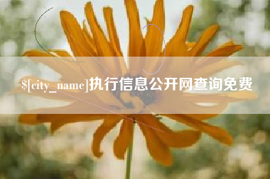 安顺执行信息公开网查询免费